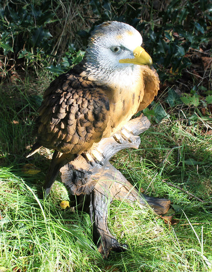 Dekofigur Weißkopfseeadler Greifvogel Höhe 50 cm Tierfigur Gartenfigur Vogeldeko Gartendeko
