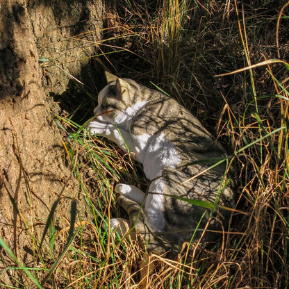 Dekofigur Hauskatze "Murli" Stubentiger Katze Tierdeko Dekoration - Premium Dekoration