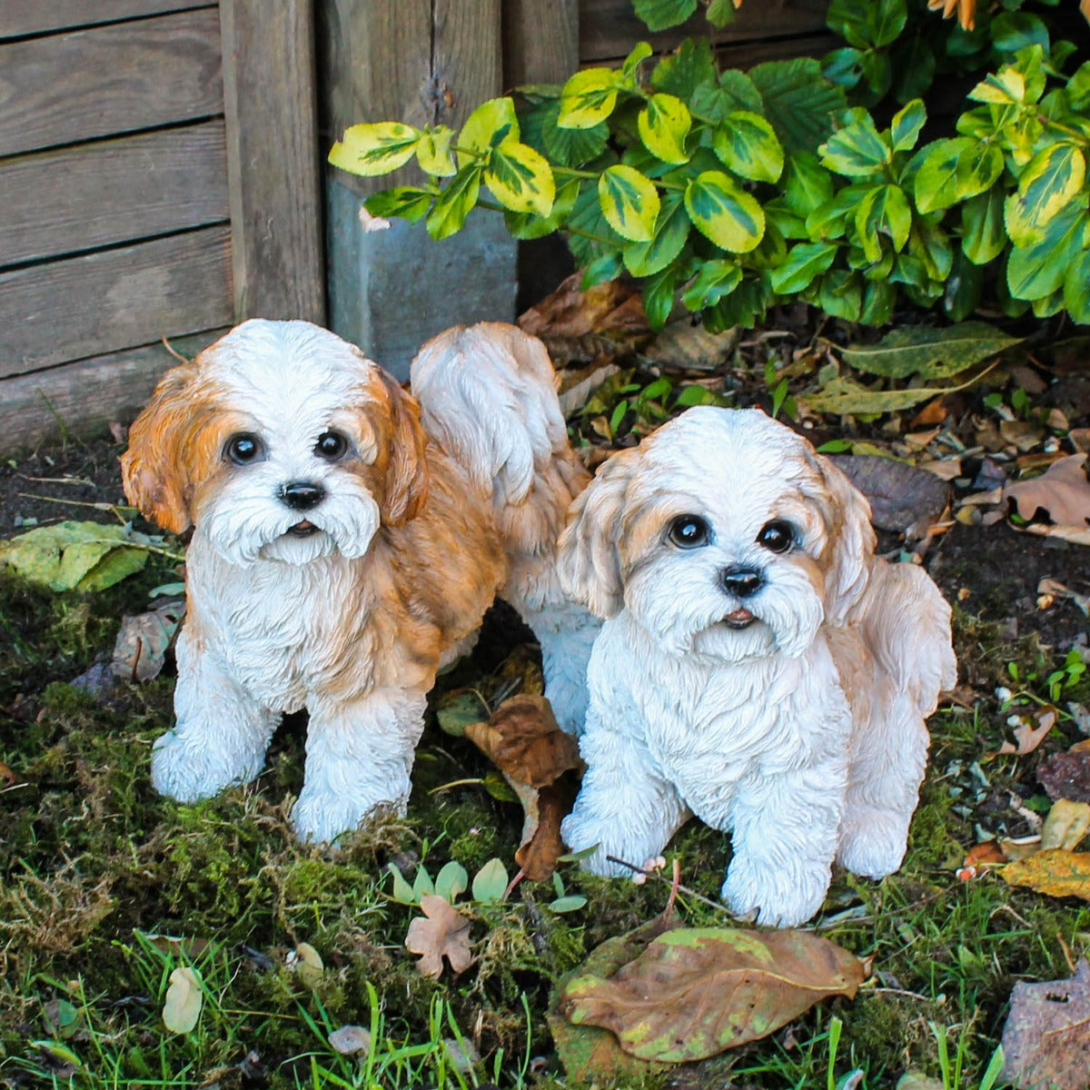 Hunde Figur Shih Tzu Welpe sitzend Hund Tierfigur Hundefigur