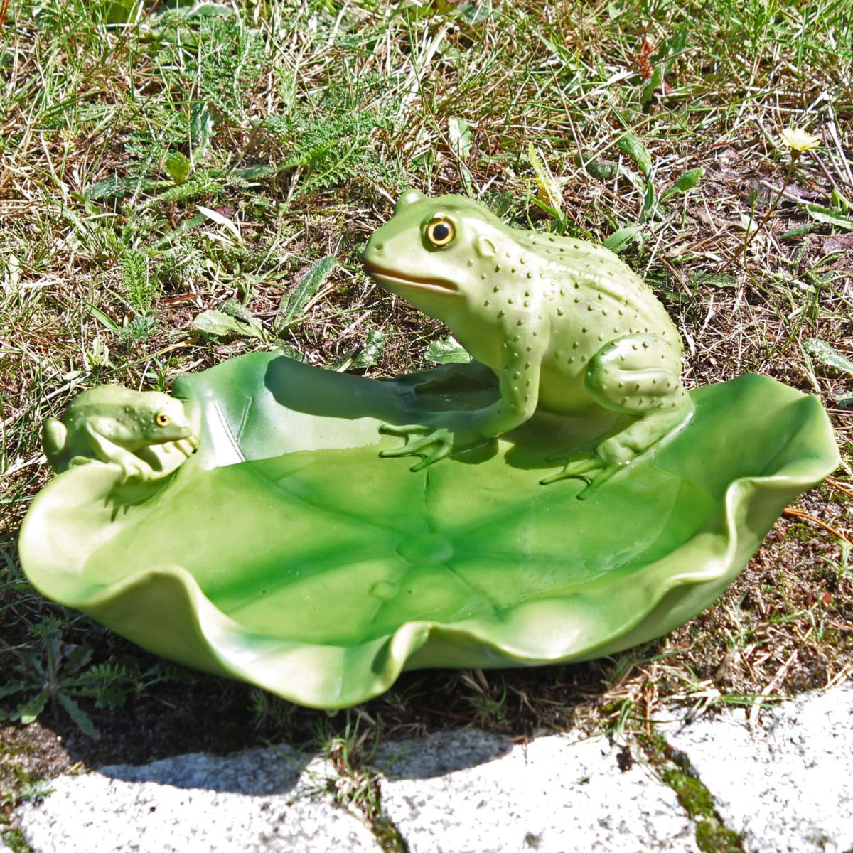 Vogeltränke Frosch Tränke Futterstelle Wildtiere Vogelbad - Premium Dekoration