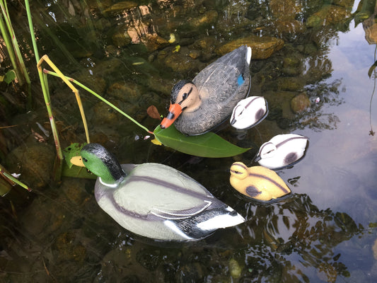 Schwimmende Entenfamilie als Dekofigur für den Teich – 5 Gartenfiguren