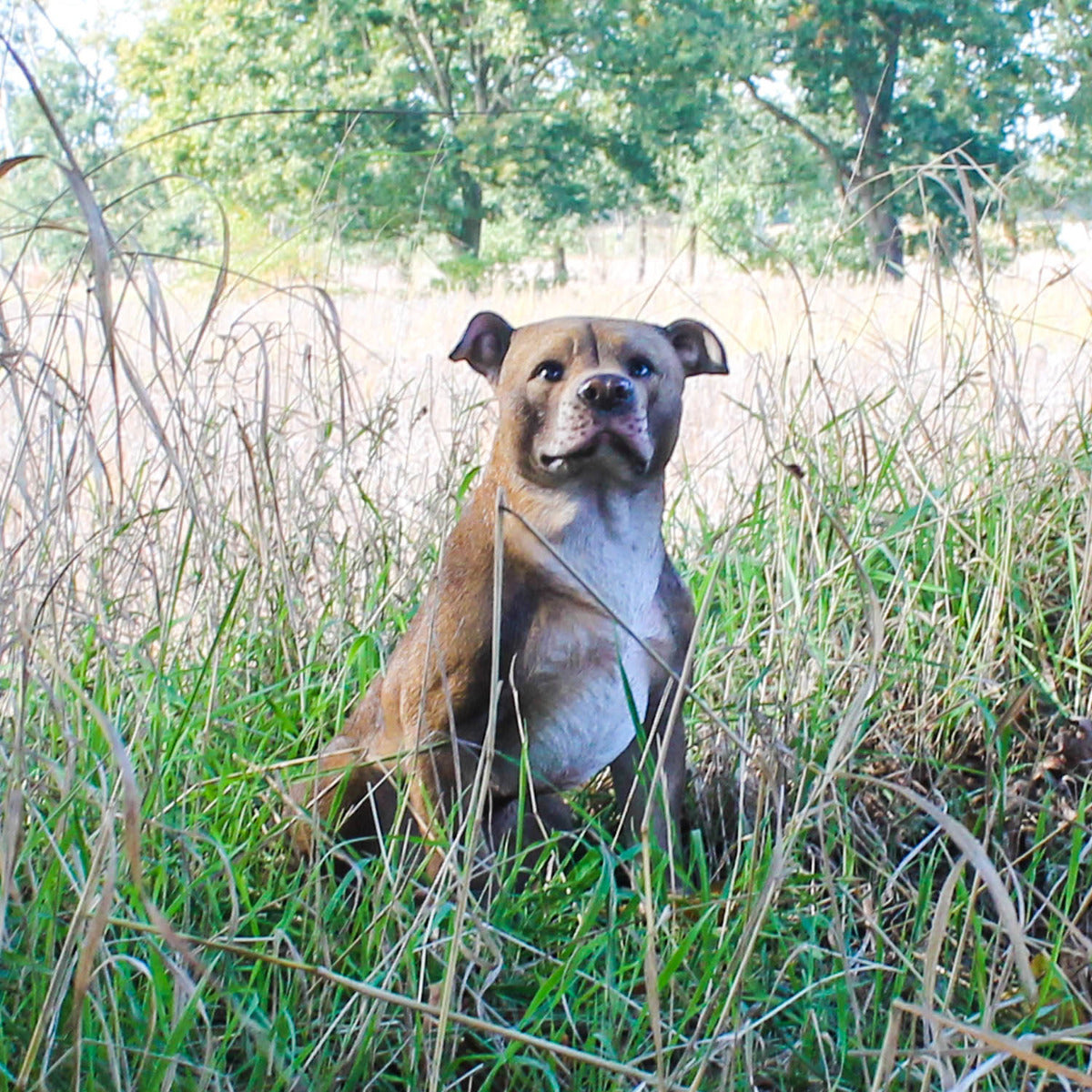 Hunde Figur Bullterrier sitzend Hund Terrier Tierfigur Hundefigur
